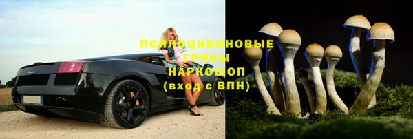 ПСИЛОЦИБИНОВЫЕ ГРИБЫ Абдулино