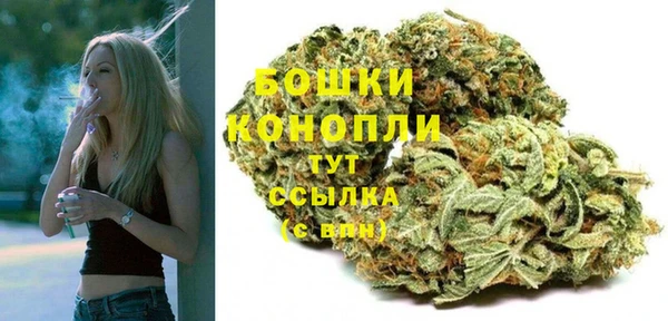 ПСИЛОЦИБИНОВЫЕ ГРИБЫ Абдулино