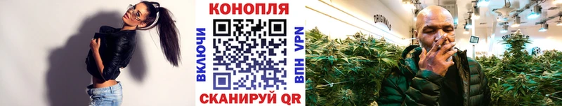 omg tor купить цена Шарыпово Каннабис сатива