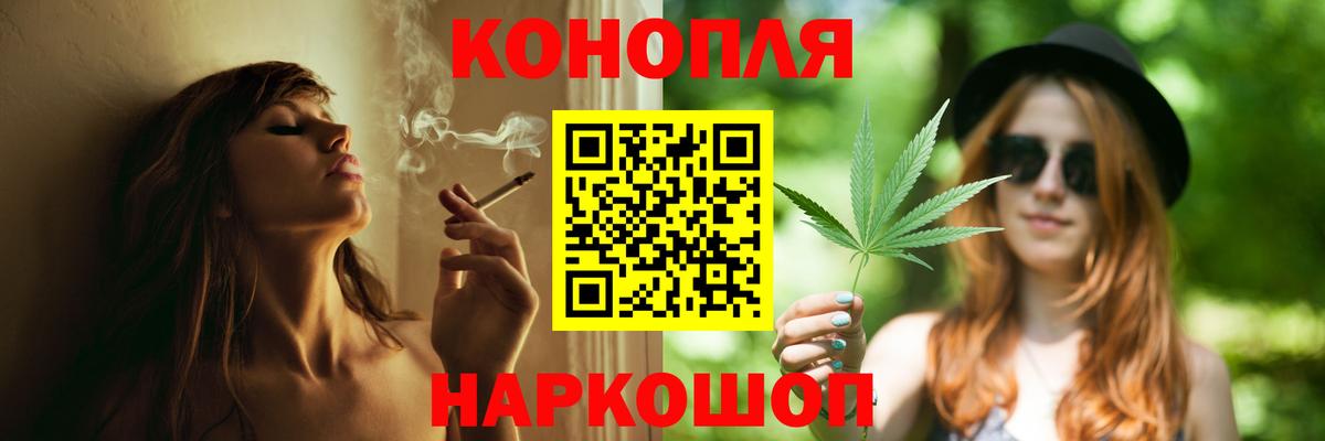 Каннабис тримм  Вход с VPN  Шарыпово  Бошки марихуана планчик  Бошки марихуана планчик 